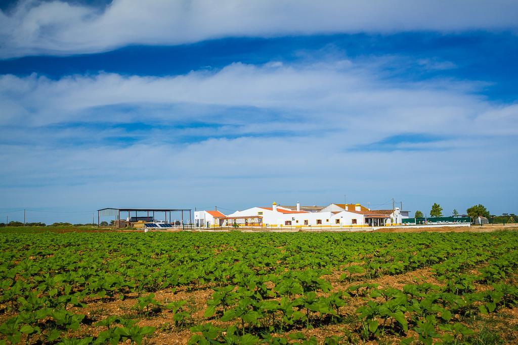 Agro-Turismo Do Roxo Guest House Ervidel Exterior foto